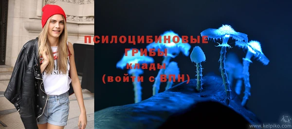 apvp Алексин