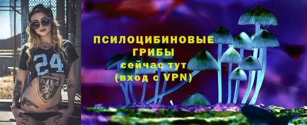 PSILOCYBIN Абинск